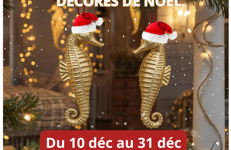 Concours décoration Noël CMJ
