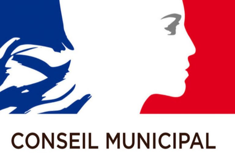Conseil municipal 5 juin 13h