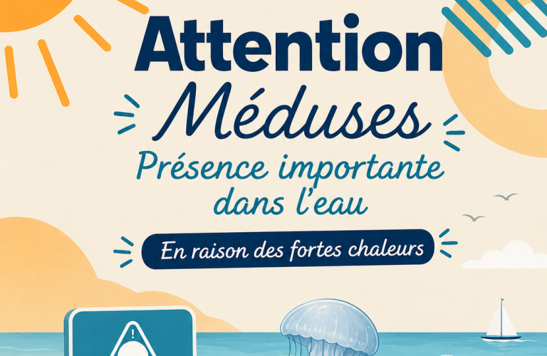Alerte méduses